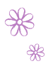 flowers_loopx2