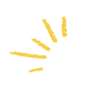 rays_loopx3